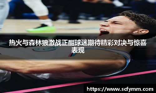 热火与森林狼激战正酣球迷期待精彩对决与惊喜表现