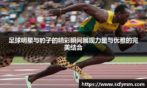 乐动LDSports官网